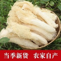 古田新貨竹蓀干貨批發(fā)無硫長裙竹蓀10g竹笙各種特產(chǎn)規(guī)格加工代發(fā)