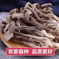 好貨鹿茸菇直條鹿茸菇干貨廠家直銷10斤一箱