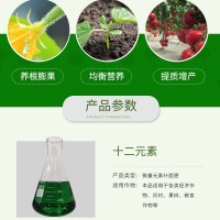 十二元素水溶肥 液體肥原液 葉面噴施滴灌沖施 備貨充足