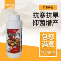 綠泰寶 核苷酸水劑葉面肥 生根壯苗水溶肥 生根增產(chǎn) 抗旱抗寒