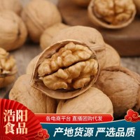 新疆紙皮核桃代發(fā)批發(fā)500g 手剝年貨零食薄皮185生核桃