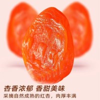 去核紅杏干新疆特產(chǎn)酸甜杏脯干代發(fā)批發(fā)100g 袋裝軟糯無核杏干