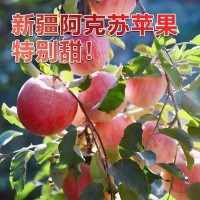 正宗新疆阿克蘇早熟紅富士蘋果應季新鮮水果冰糖心早期丑蘋果整箱